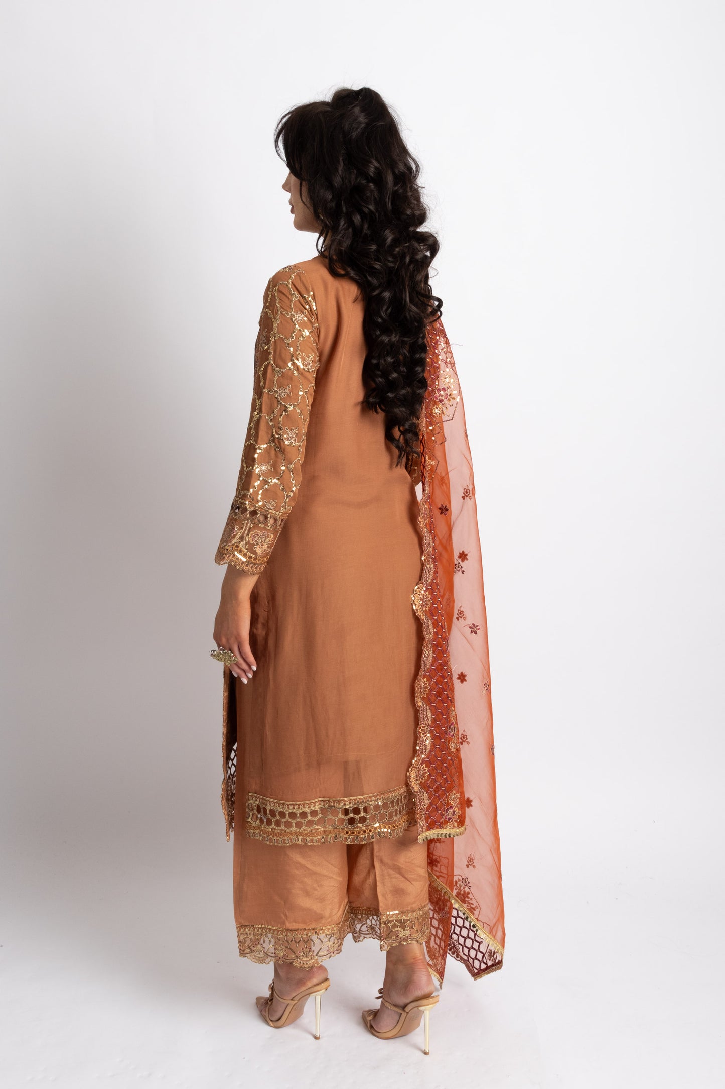 Looms Rust Orange Hand Embroidered Chiffon Suit - WANT THAT LABEL