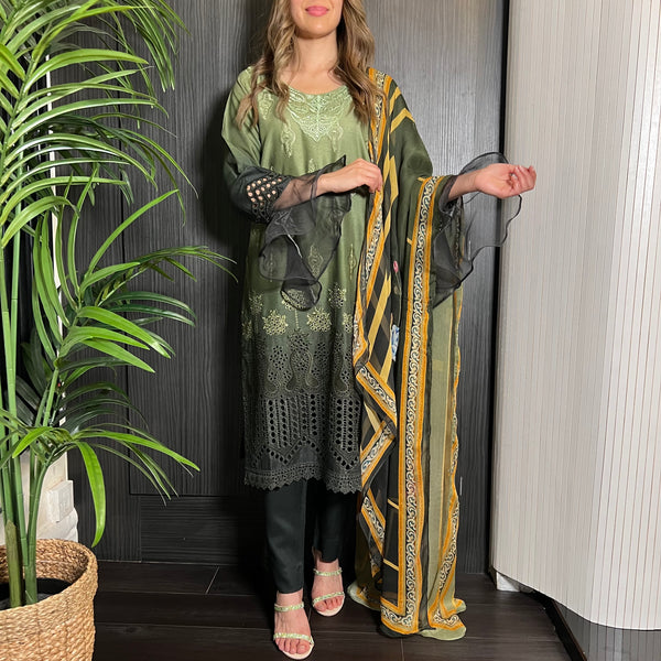 Green Ombre Mirror Embroidered Chikankari Suit