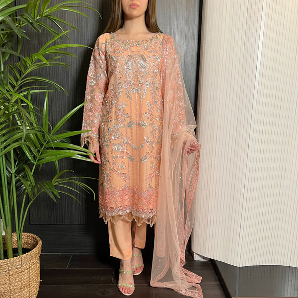 Prêt Peach Silver Heavily Embroidered Organza Suit