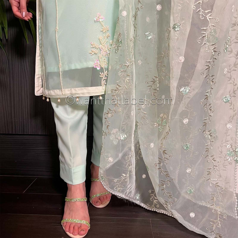 Blue White Pearl Embroidered Organza Suit