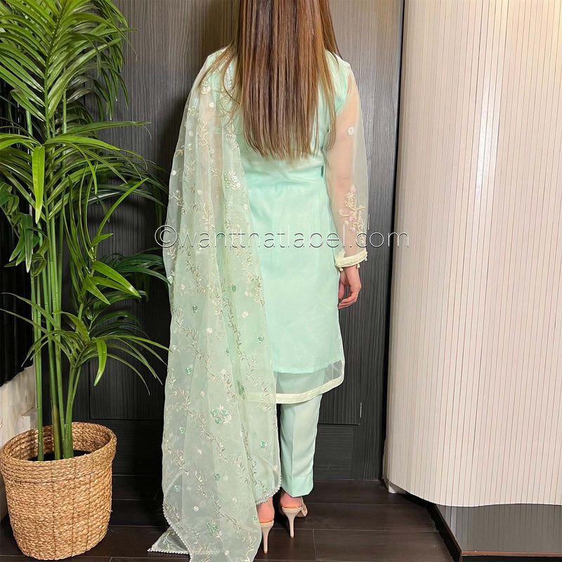 Blue White Pearl Embroidered Organza Suit