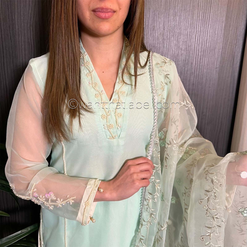 Blue White Pearl Embroidered Organza Suit