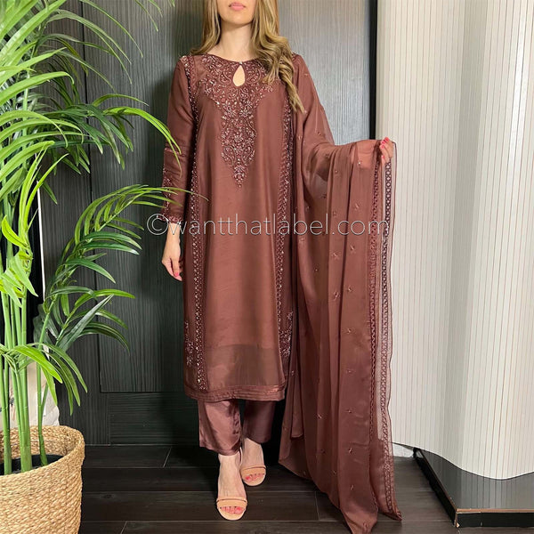 Brown Hand Embroidered Chiffon Suit
