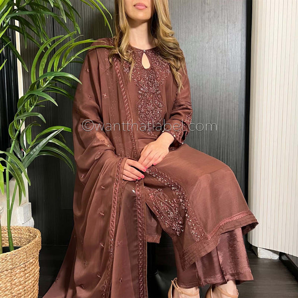 Brown Hand Embroidered Chiffon Suit