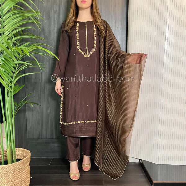 Brown Hand Embroidered Cotton Silk Suit
