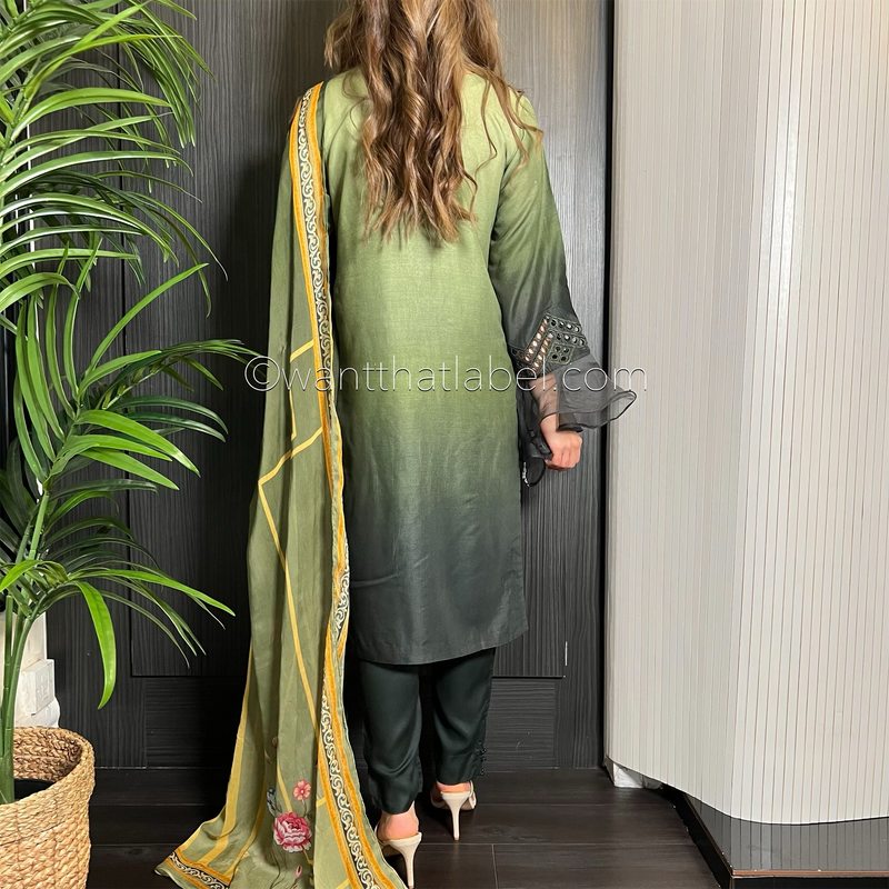 Green Ombre Mirror Embroidered Chikankari Suit