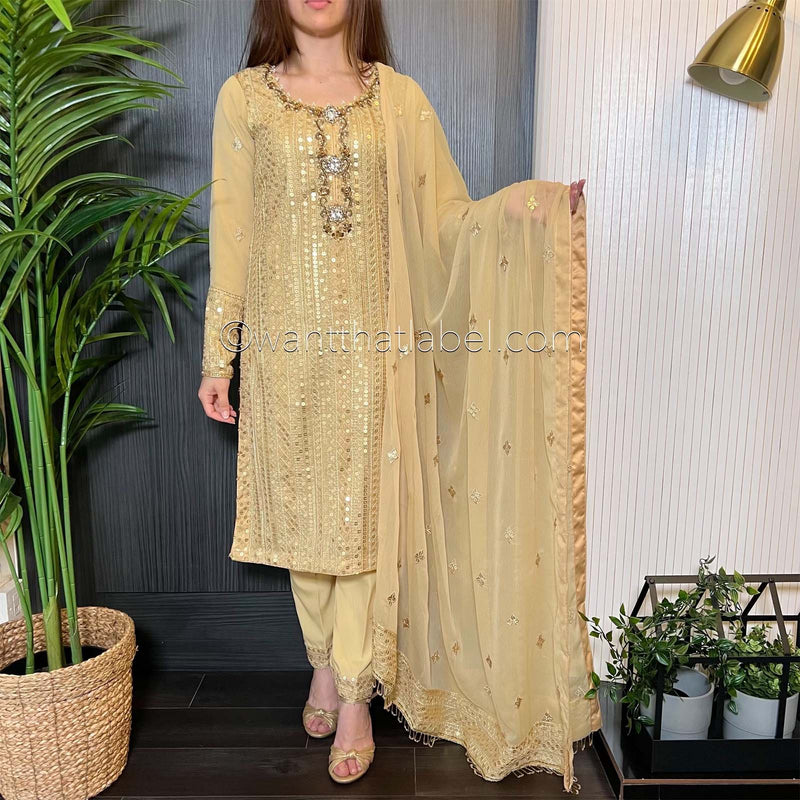 Gold Hand Embroidered Chiffon Suit
