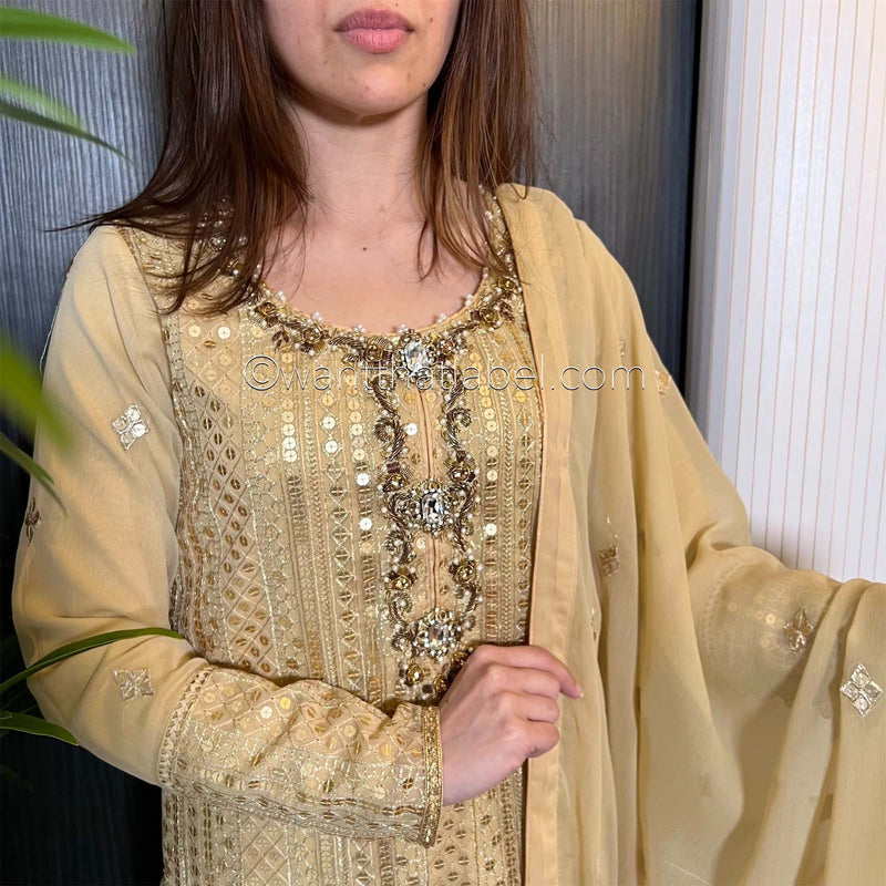 Gold Hand Embroidered Chiffon Suit
