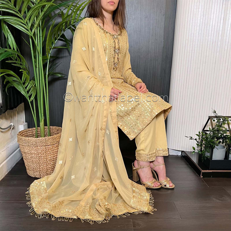 Gold Hand Embroidered Chiffon Suit