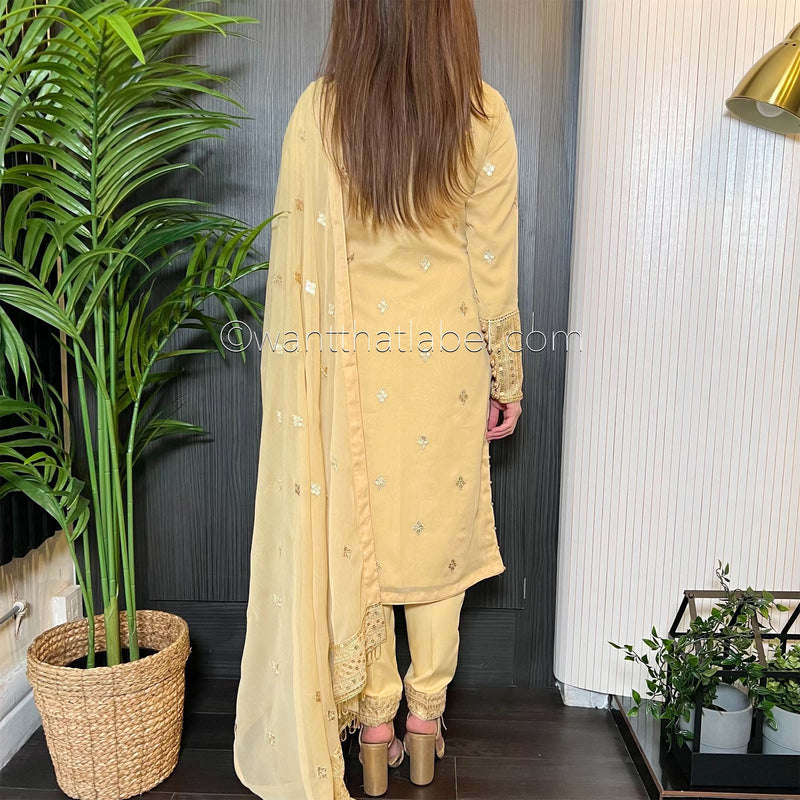 Gold Hand Embroidered Chiffon Suit