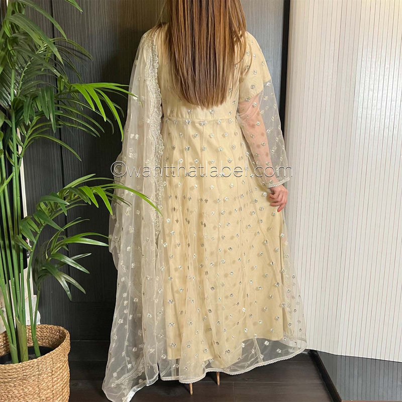 Karma Original Beige Embroidered Panelled Maxi Dress Suit
