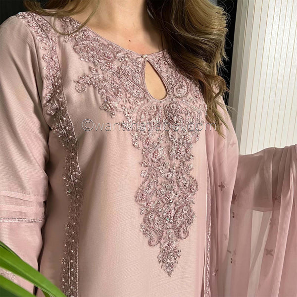 Mink Hand Embroidered Chiffon Suit