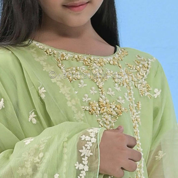 Mummy & Me Kids Green Chiffon Hand Embroidered Suit