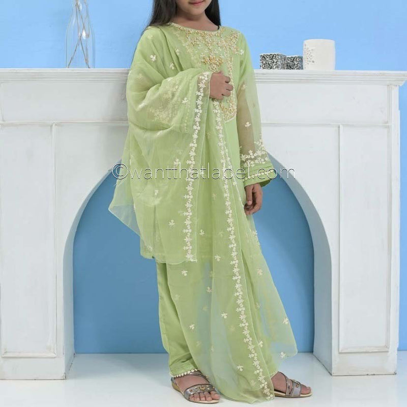 Mummy & Me Kids Green Chiffon Hand Embroidered Suit