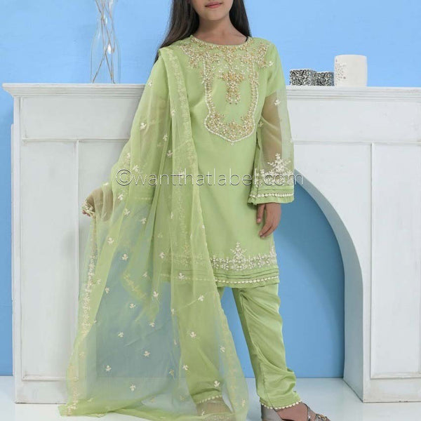Mummy & Me Kids Green Chiffon Hand Embroidered Suit