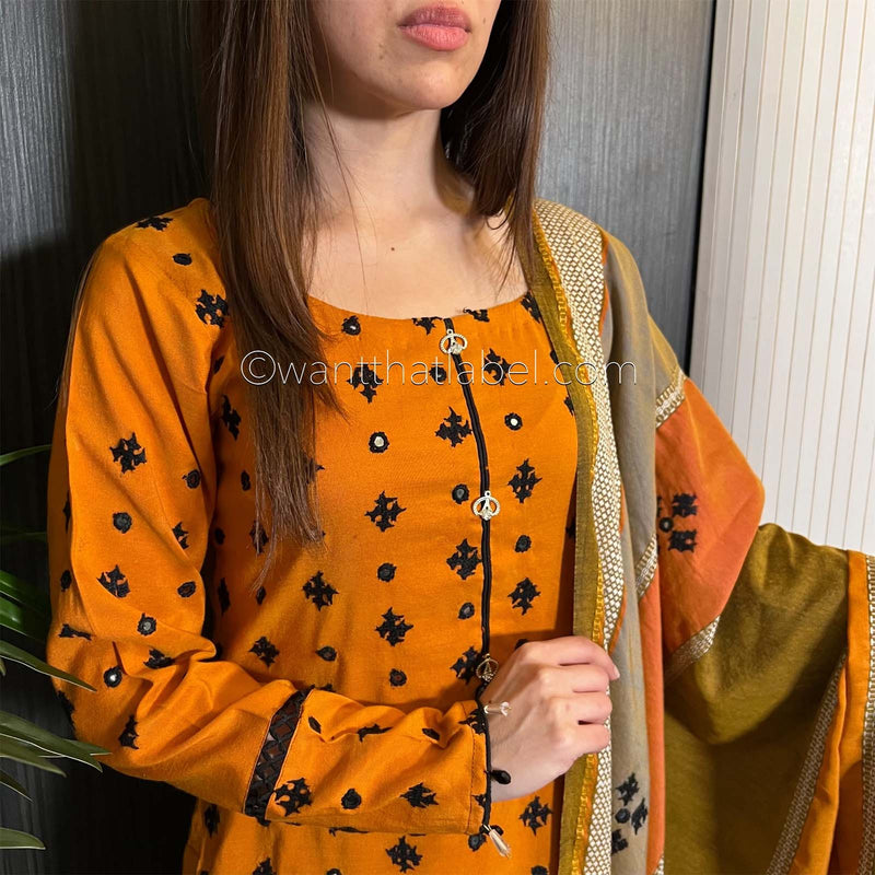 Mustard Sindi Hand Embroidered Mirror Shawl Suit