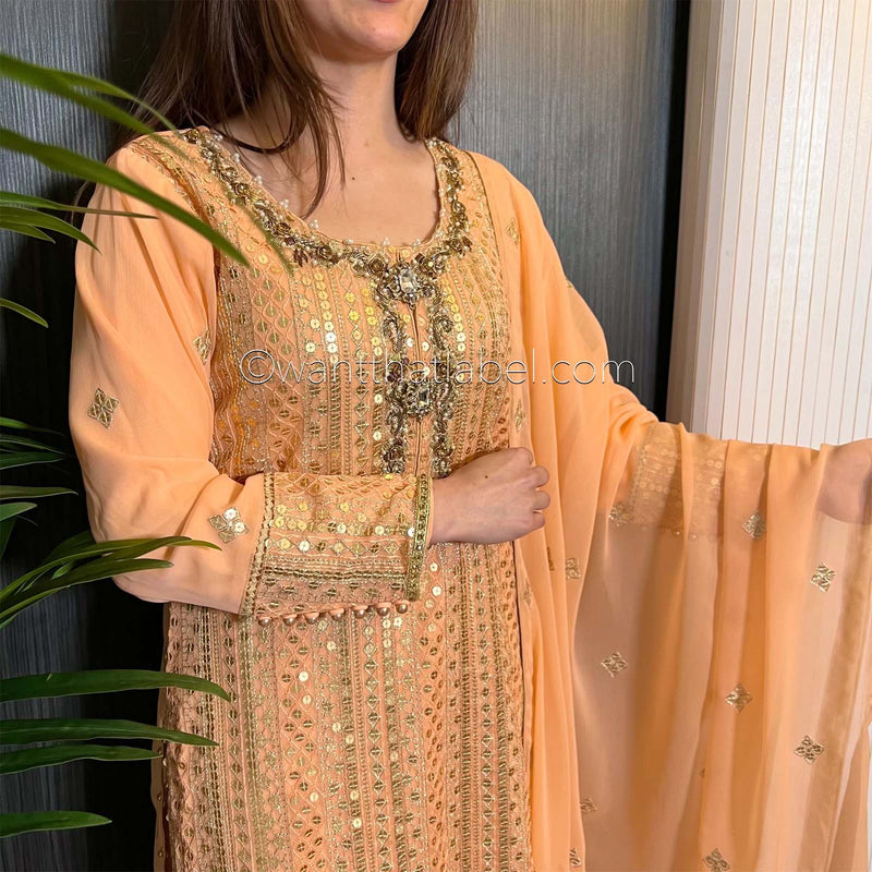 Peach Gold Hand Embroidered Chiffon Suit