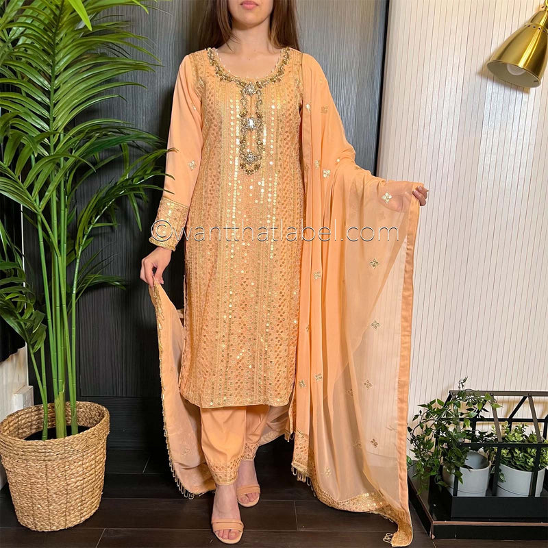 Peach Gold Hand Embroidered Chiffon Suit
