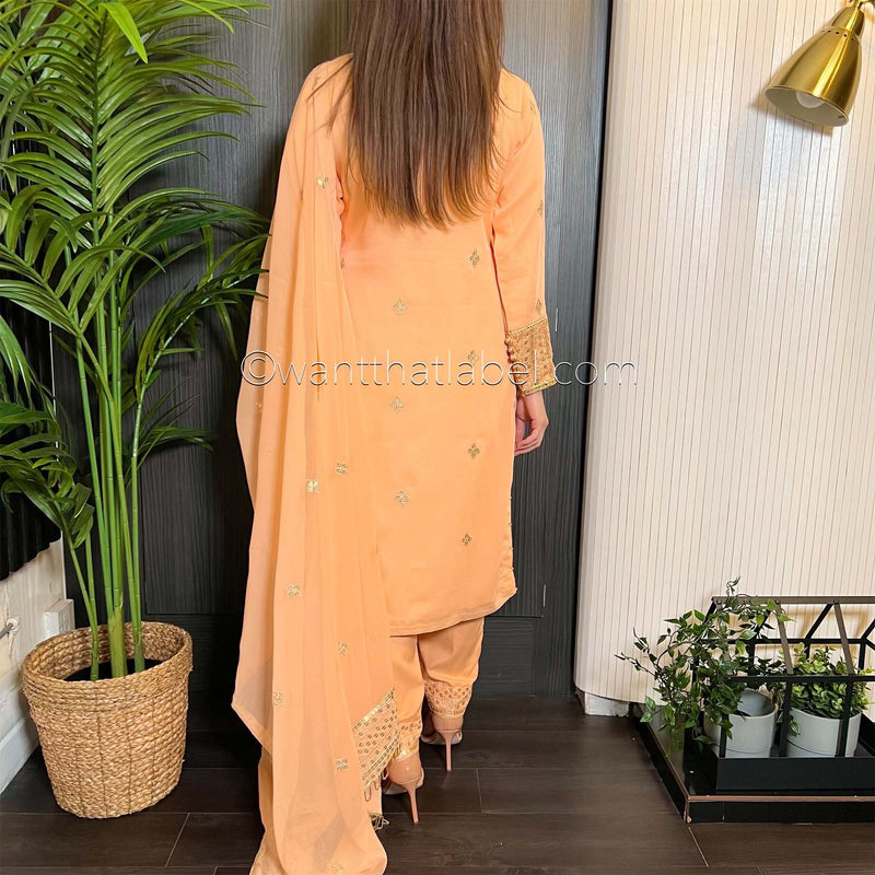 Peach Gold Hand Embroidered Chiffon Suit