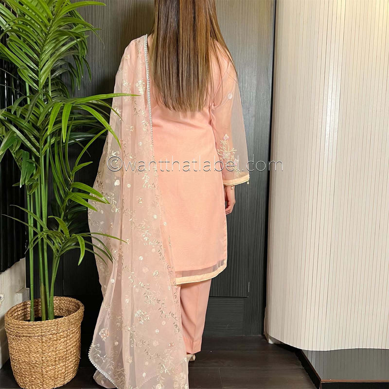 Pink White Pearl Embroidered Organza Suit