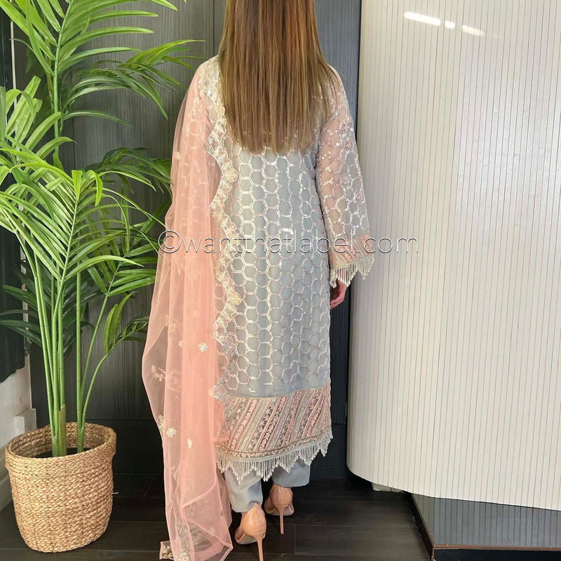 Prêt Grey Pink Heavily Embroidered Organza Suit