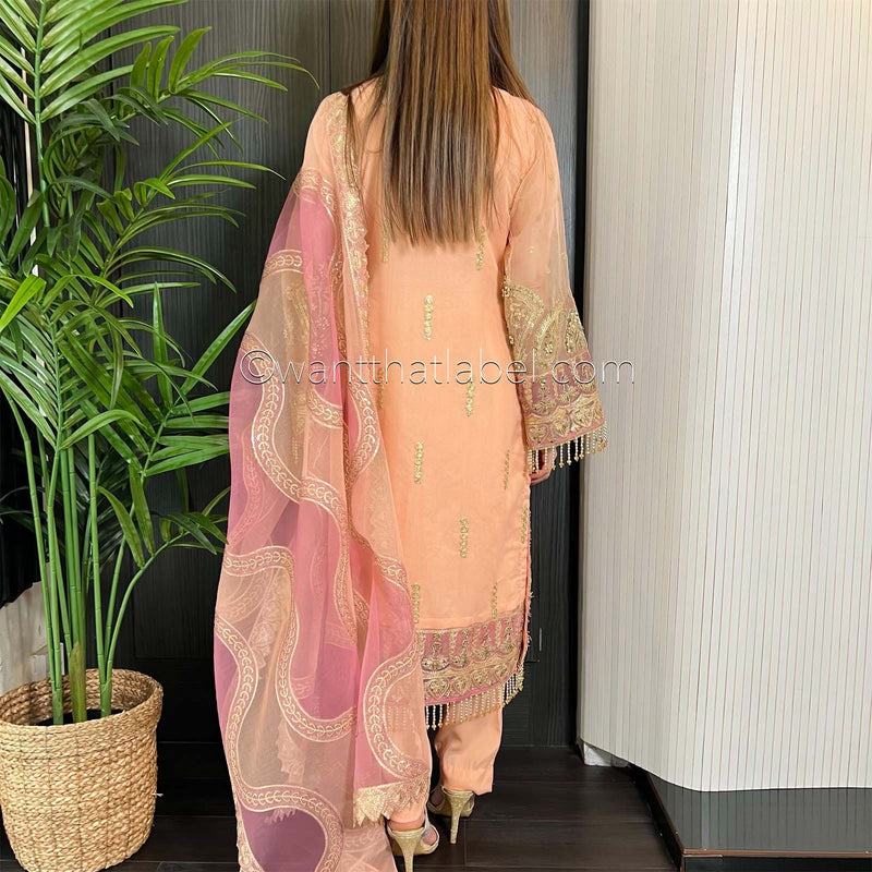 Prêt Peach Pink Heavily Embroidered Organza Suit