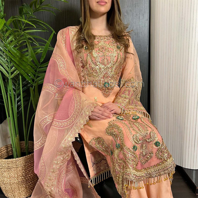 Prêt Peach Pink Heavily Embroidered Organza Suit