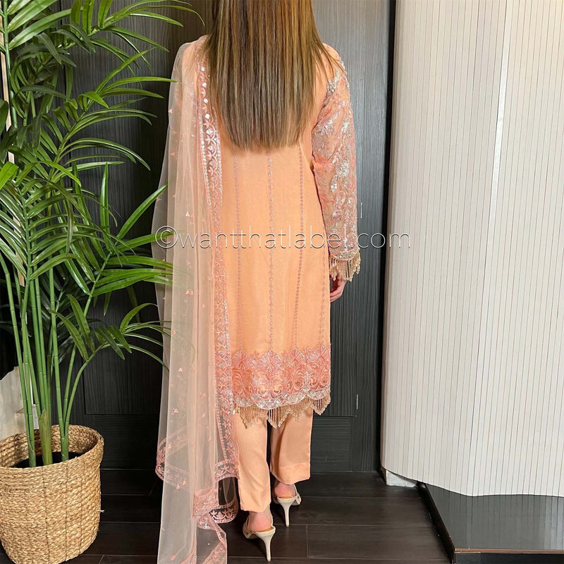 Prêt Peach Silver Heavily Embroidered Organza Suit