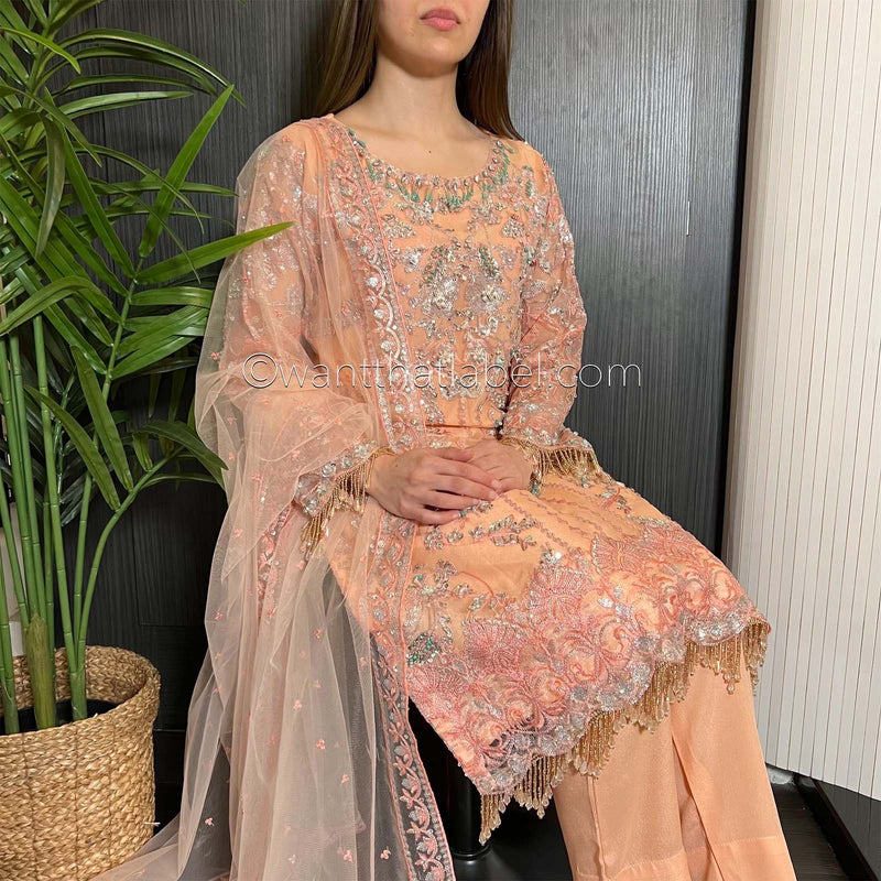 Prêt Peach Silver Heavily Embroidered Organza Suit