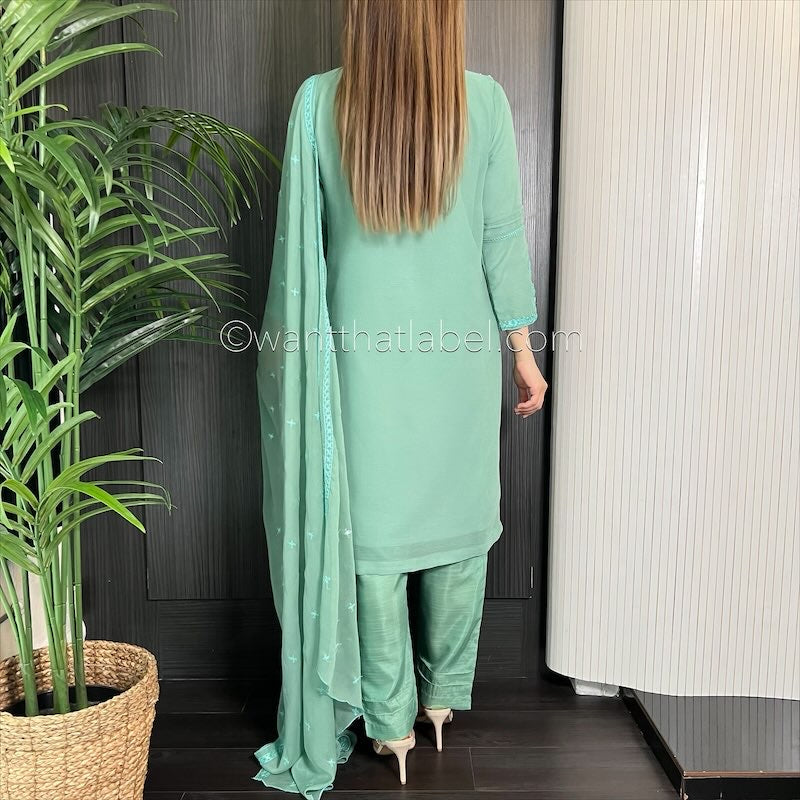 Mint Hand Embroidered Chiffon Suit
