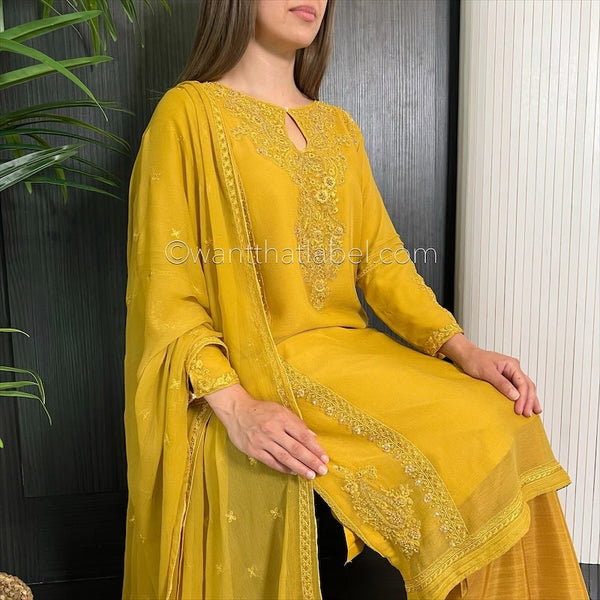Mustard Hand Embroidered Chiffon Suit