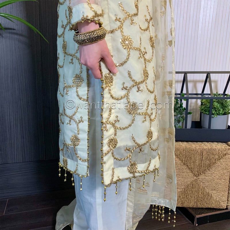 Ivory Gold Embroidered Organza Suit