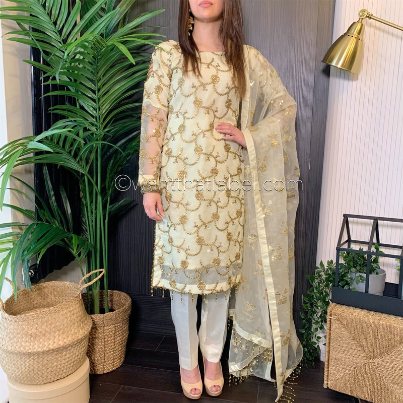 Ivory Gold Embroidered Organza Suit