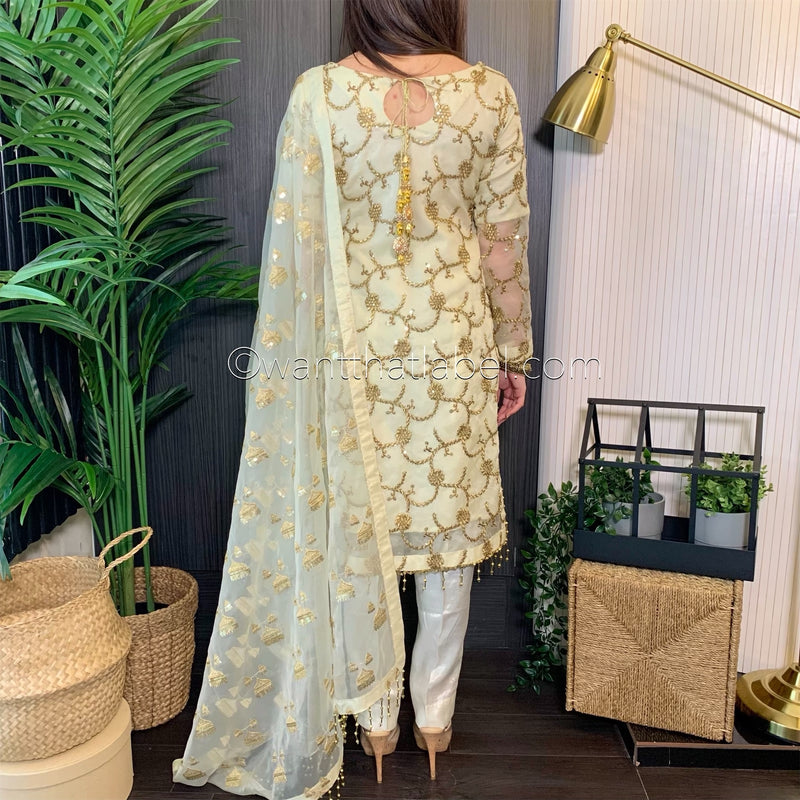 Ivory Gold Embroidered Organza Suit