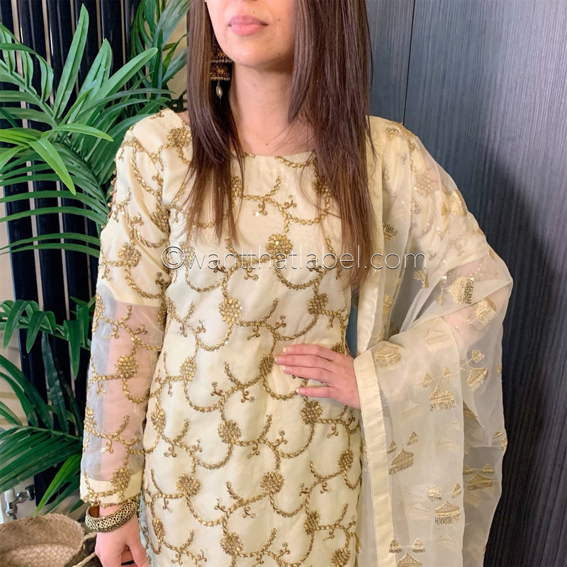 Ivory Gold Embroidered Organza Suit