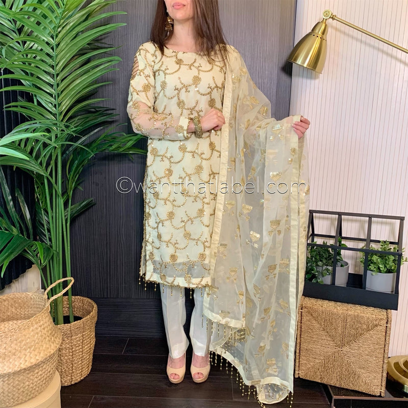 Ivory Gold Embroidered Organza Suit