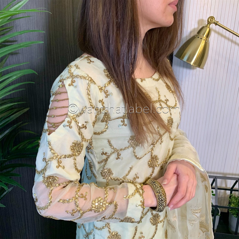 Ivory Gold Embroidered Organza Suit